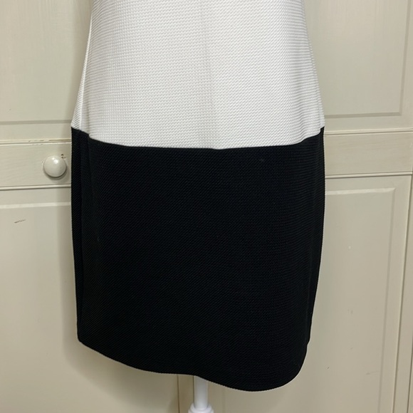 METAPHOR Women's White and Black Color Block Sleeveless Shift Dress Size 6 - Picture 3 of 8